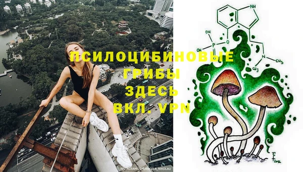 мескалин Арсеньев