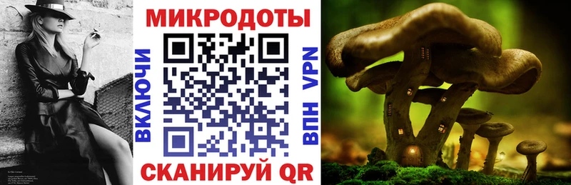 Галлюциногенные грибы прущие грибы  Купить  Вихоревка 
